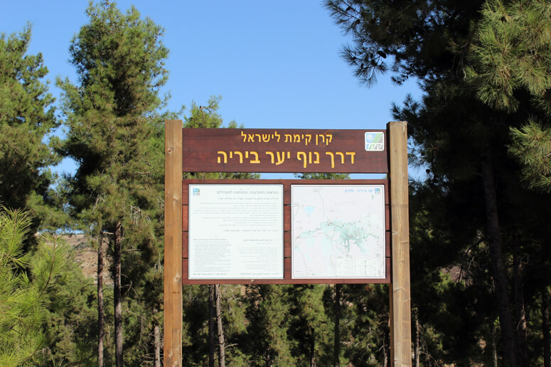 יער ביריה יער ביריה